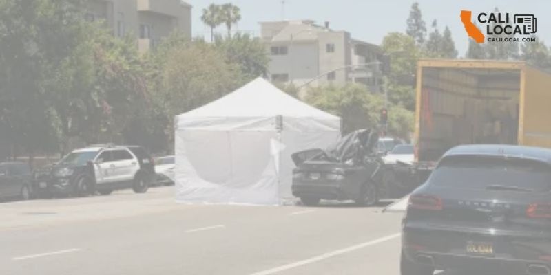 Insulation for Businesses | Canoga Park Experts